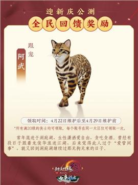 双龙天龙八部私服